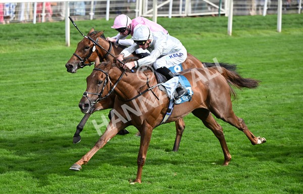 210825-183 Charlottes Web - Race 5 4.10pm British EBF & Sir Henry Cecil Galtres Stakes