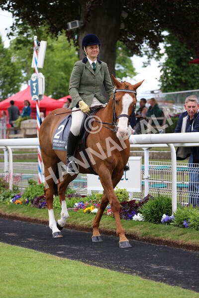 yr22052022r8e-80 - ROR - Parade Ring York