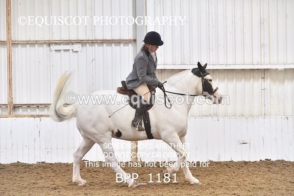 BPP_1181 - RING 2