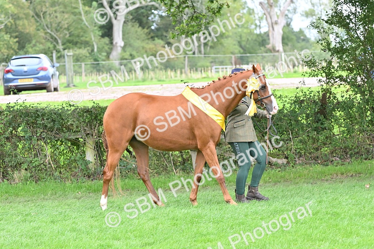 SBM_65000 - In Hand Pony & Younstock Supreme Championship