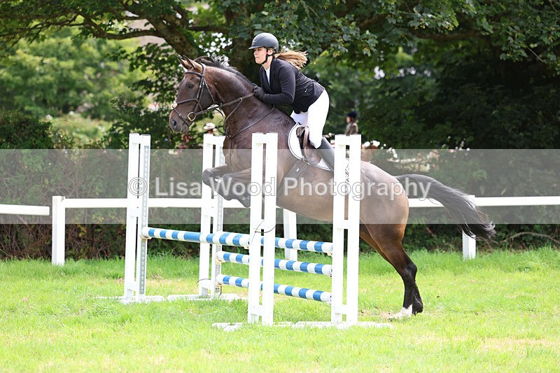 3E7A6908 - Class 5: Senior British Novice/90cm open