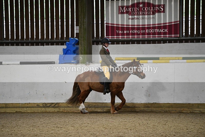 WJ5_8195 - Class 14 Novice Ridden/Rider