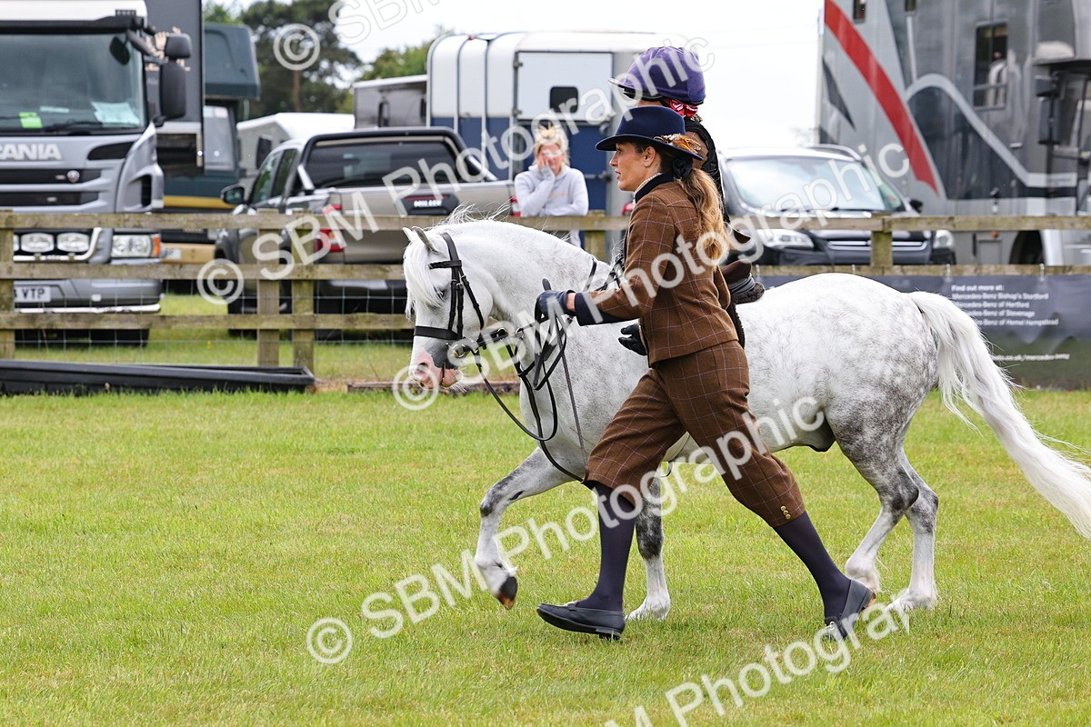SBM_08264 - Class 42-43 - LIHS BSPS Heritage Working Sports Pony