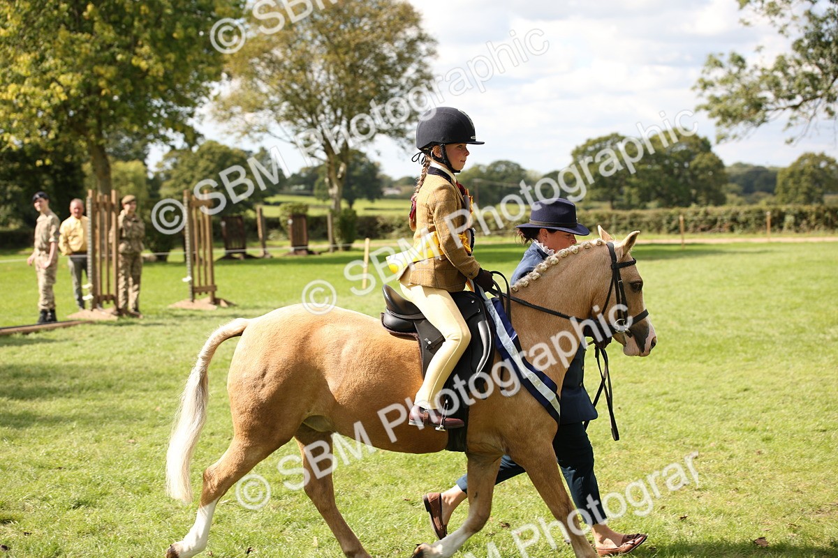SBM_40934 - Fun Showing Supreme Championship