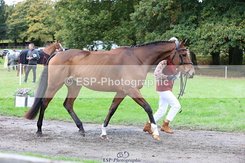 251026A-111318-25311 - F-453-Lucy.Lloyd