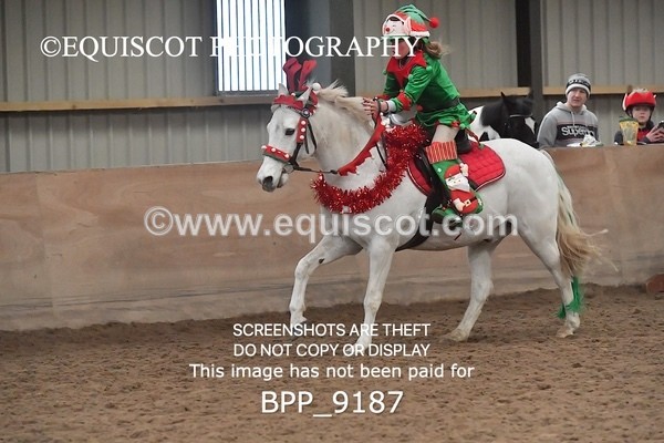 BPP_9187 - CLASS 4 50CM Novice Show Jumping