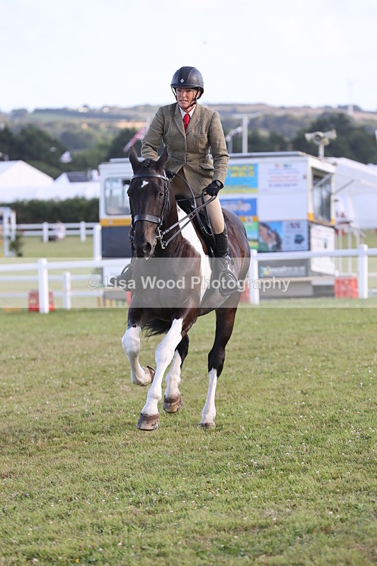 JPP_3531 - Class 22: Working Hunter 90cm