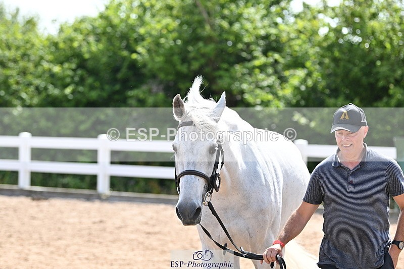 240717A-155045-03104 - Trot Up 3pm to 4pm