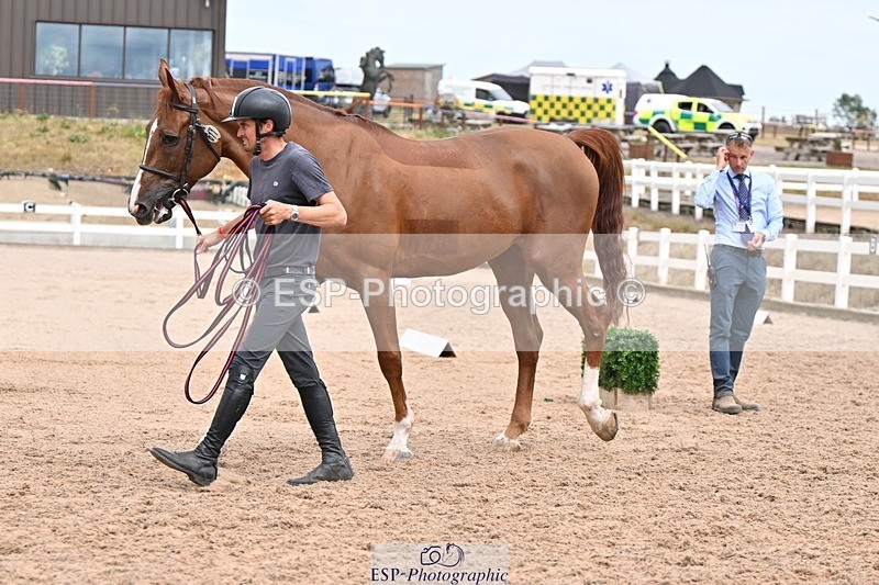 250716-162312-02612 - Trot Up 3.30 to 4.30