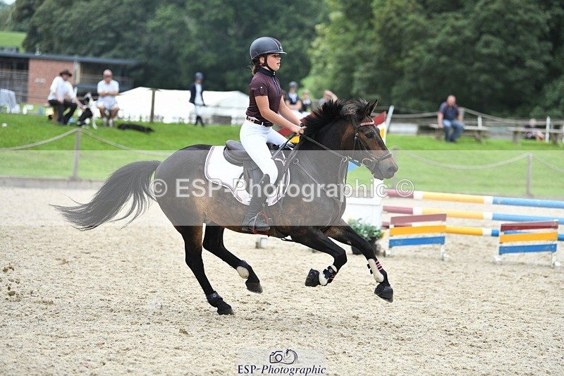 230820-131610-00878 - 80cm - Round 2