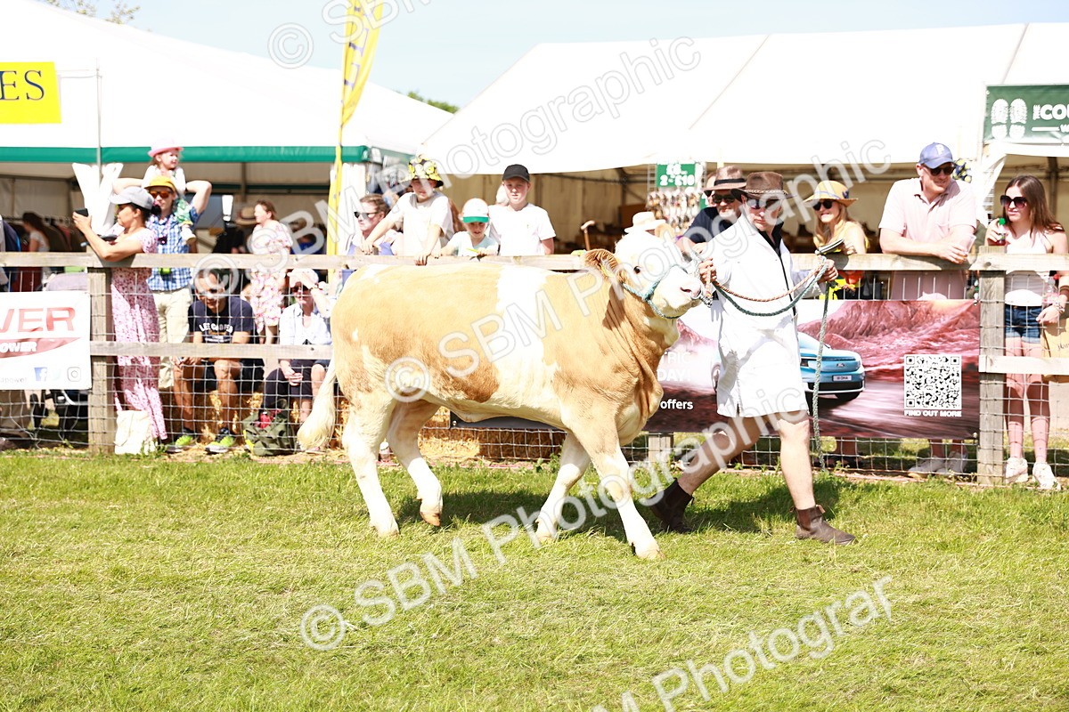 SBM_08365 - Grand Parade