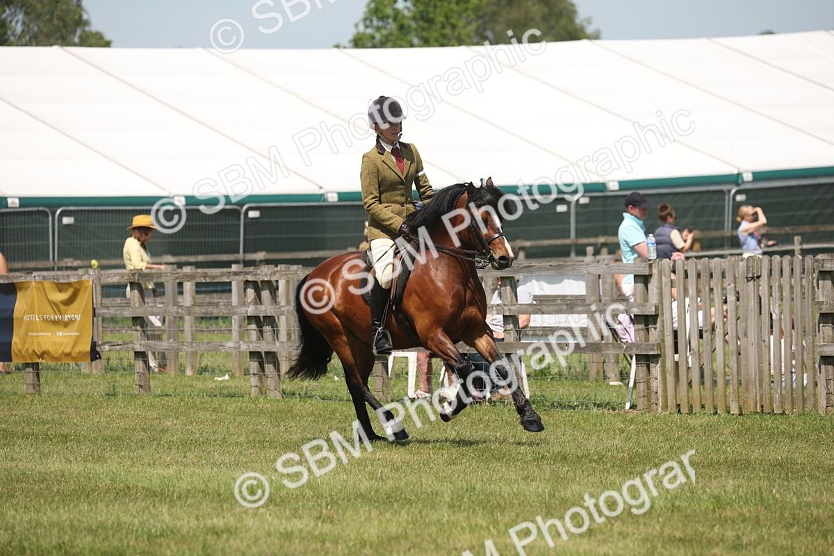 SBM_06920 - Class 26-30 - Mountain and Moorland Ridden