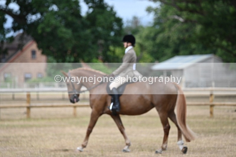 WJ6_7368 - Class 9 Tack and Turnout