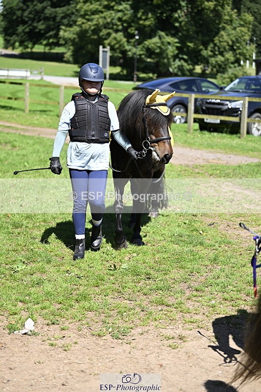 240728B-113615-00306 - Sunday Stable Shots and Fancy Dress