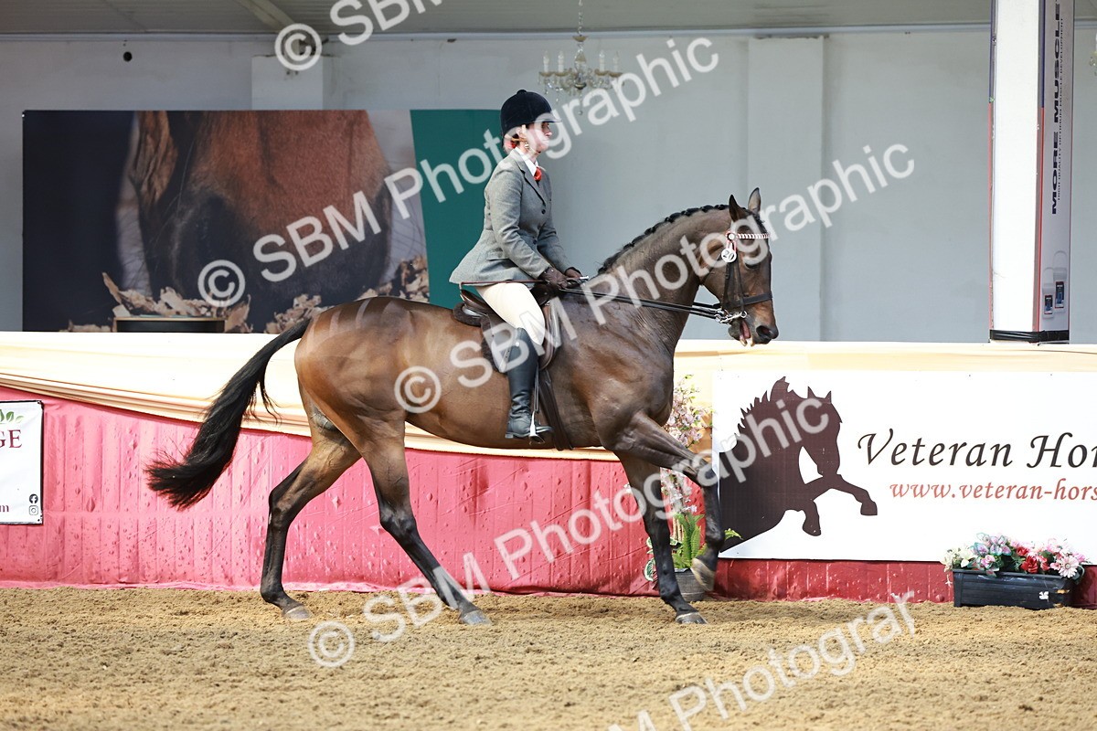 SBM_14962 - Class 108 - Ridden Retired Racehorse
