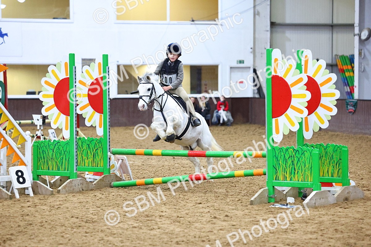 SBM_001429 - Class 3 - Christmas Tree Stakes - 60cm