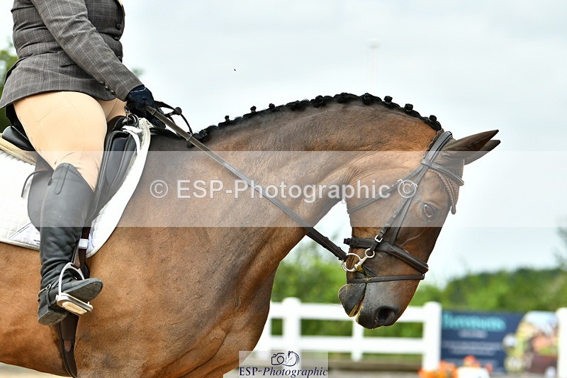 230702A-125554-09737 - Cls 28 Elementary 45