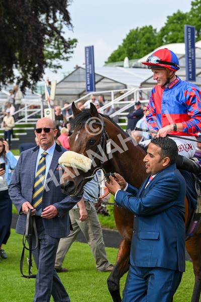 160524-Race 5-Big Evs-6460 - Race 5 4.15pm  British Stallion Studs EBF Westow Stakes