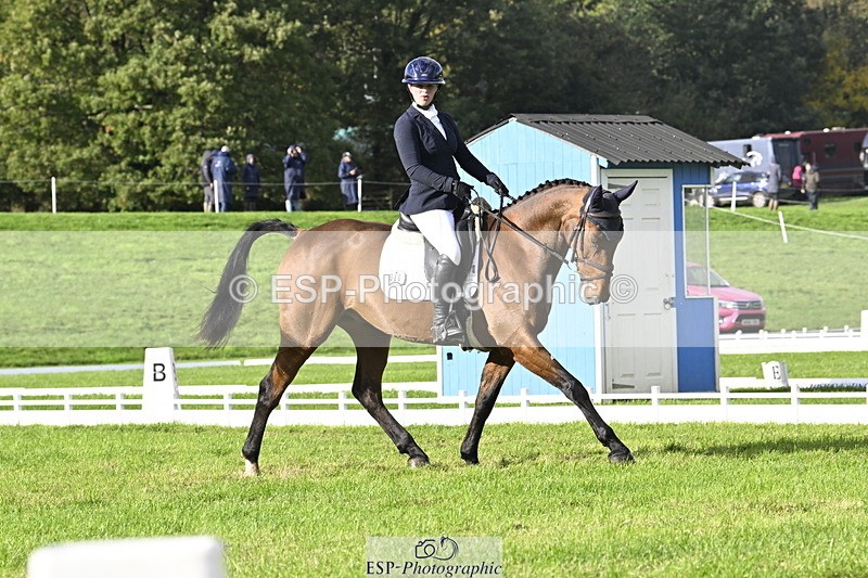 251023A-150805-04523 - E-386-Zara.Head