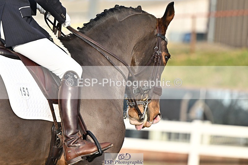 241214-141627-02773 - 153-Sally.Bell-Hilton.VI