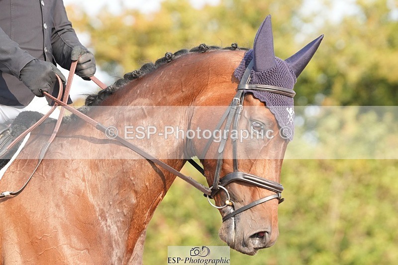 250817-090314-07450 - 165-Jack.StancombeFastnet.Rock