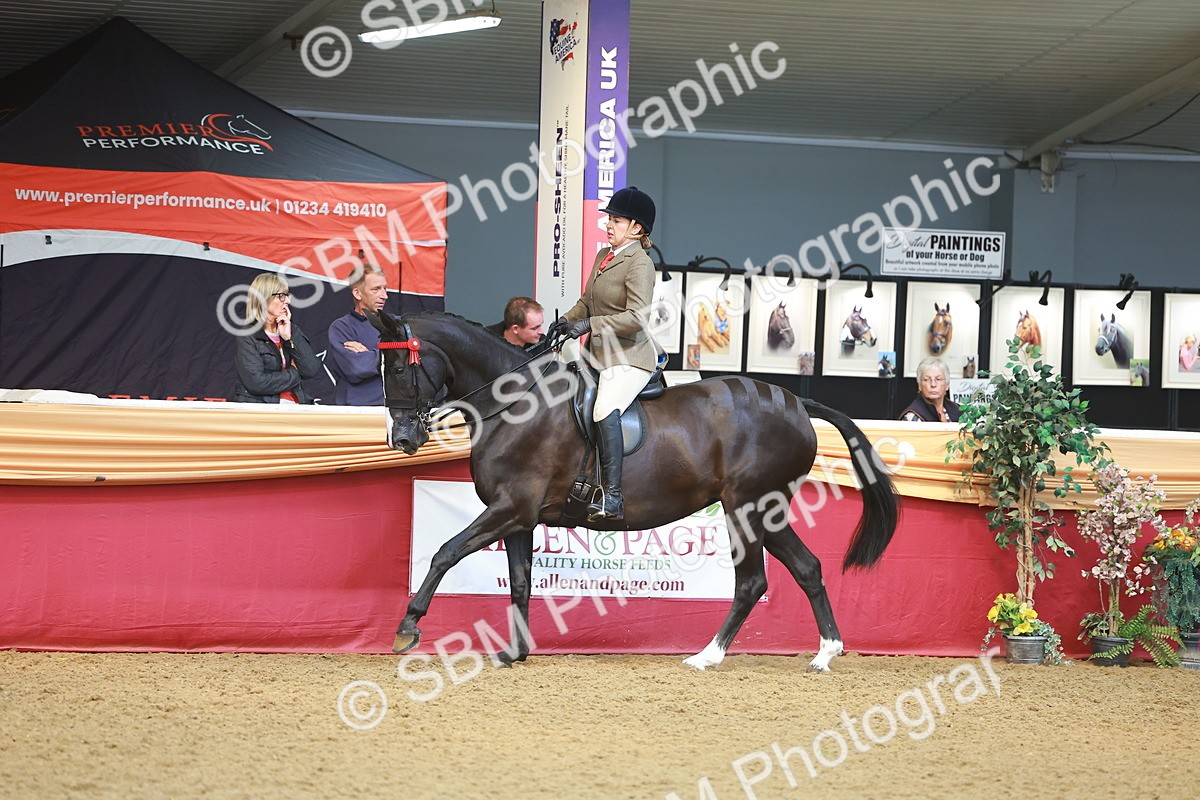 SBM_10607 - Class 103 - HOYS Veteran Qualifier - Ridden Pre Vet