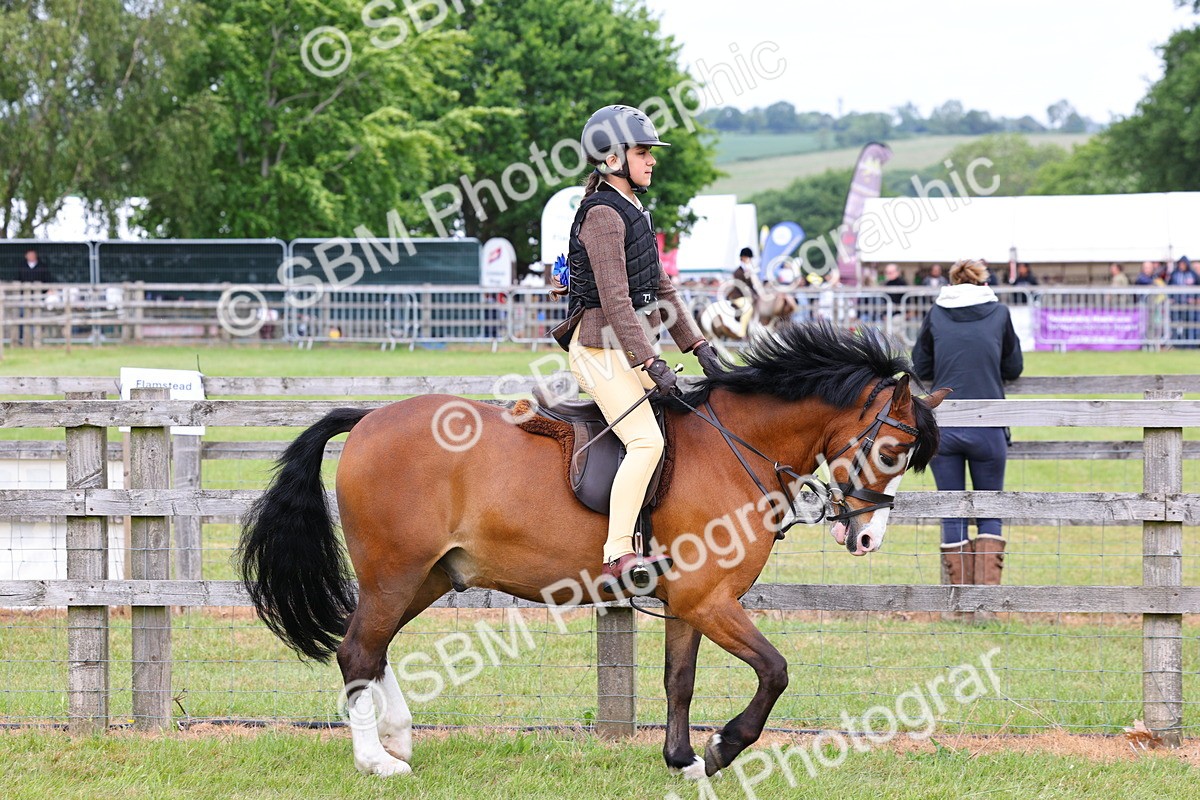 SBM_08502 - Class 42-43 - LIHS BSPS Heritage Working Sports Pony