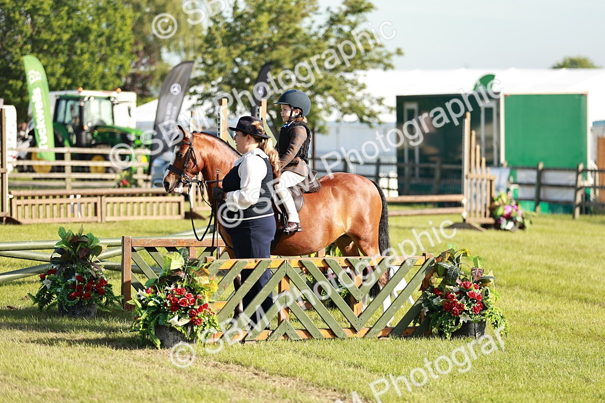 SBM_11147 - Class 106-107 - BSPS LIHS Working Sports Pony