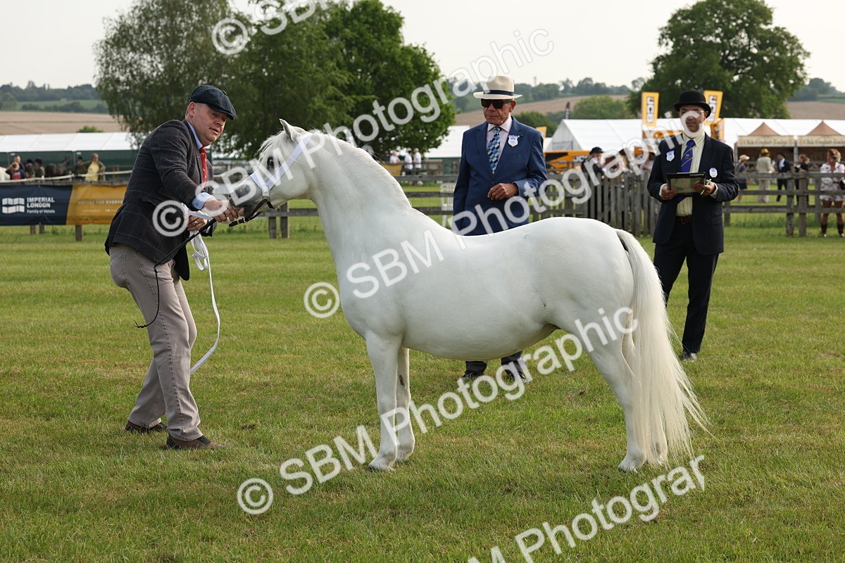 SBM_00524 - Class 6-13 - Mountatin and Moorland In Hand Welsh Breeds
