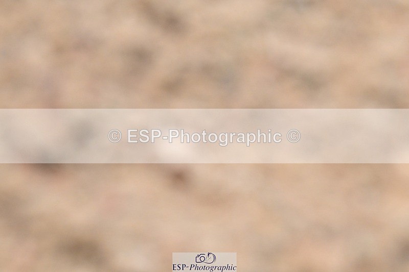 250621-143436-11533 - Cls 30 - Elementary 6