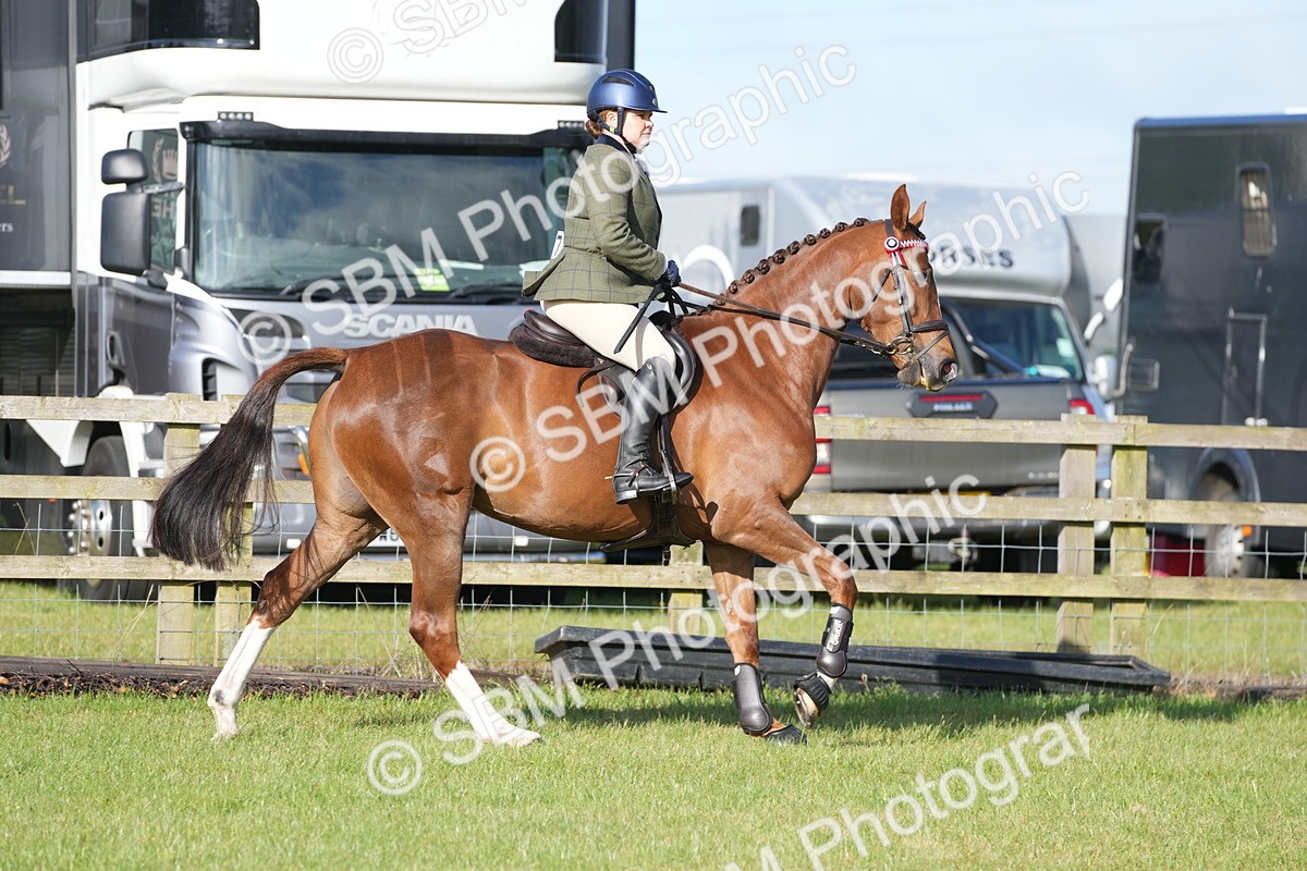 SBM_10503 - Class 97-98 - LIHS BSHA Rising Star Working Show Horse Hunter