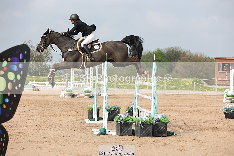 250424-104436-03201 - Cls 33 Young Horse 7yr old