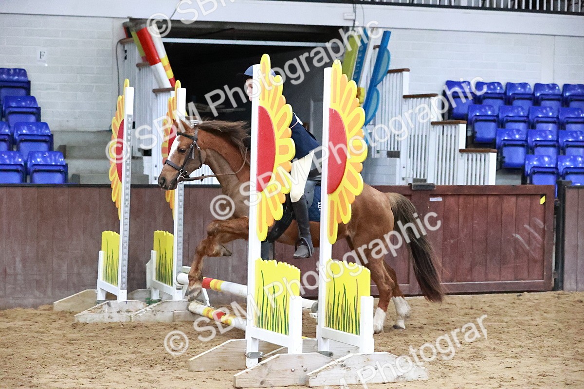 SBM_000561 - Class 2 - Show Jumping 50cm