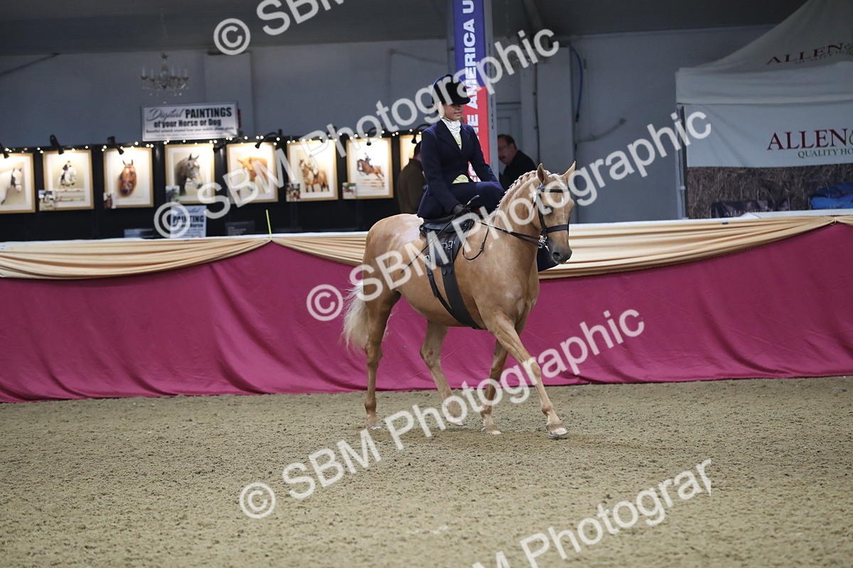 SBM_09337 - Class 101 Equitation (best rider), Junior