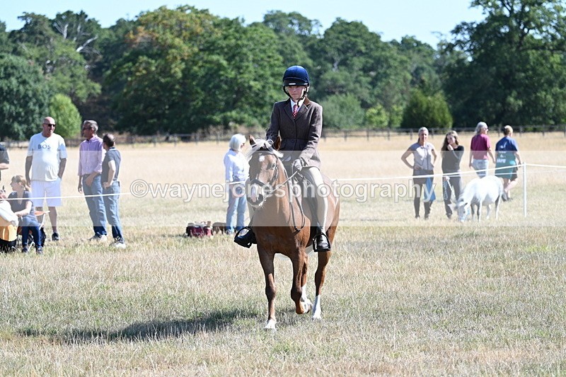 WJ7_4007 - Class 9 Mountain & Moorland Ridden