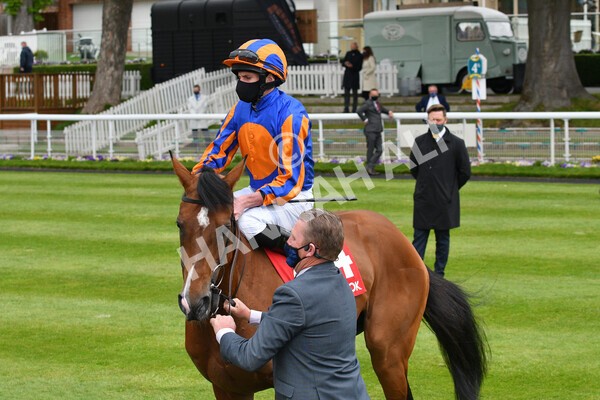 yr14052021r4-11 - Race 4 3.10pm The Matchbook Yorkshire Cup