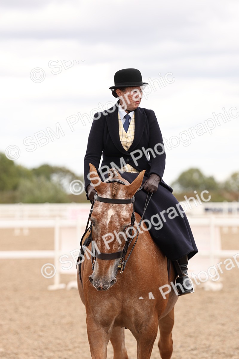 SBM_16437 - Class 211 - Best Side Saddle Horse - Pony