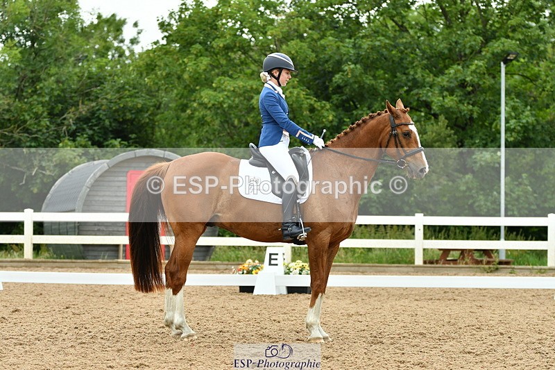 230630A-110011-00631 - Cls 9+12 Music Elementary + Medium