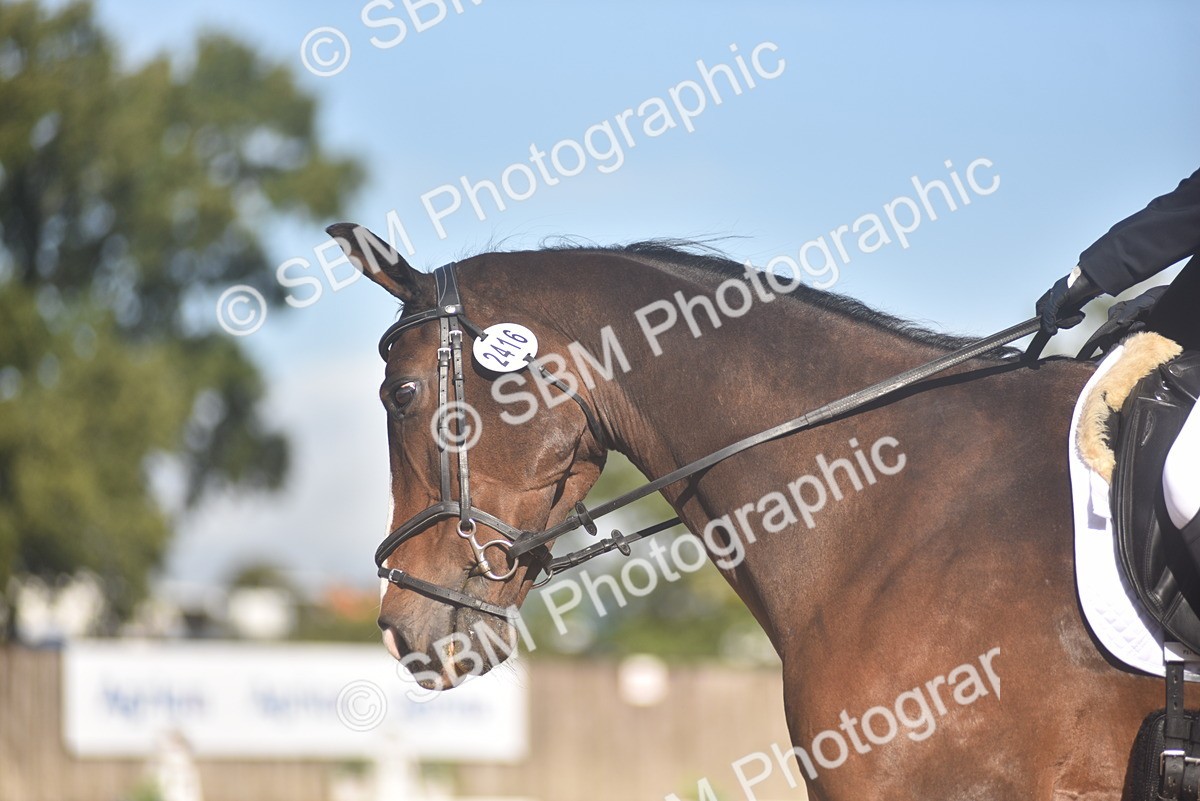 SBM_38602 - D14 - Grand Tour Championship Prelim 2