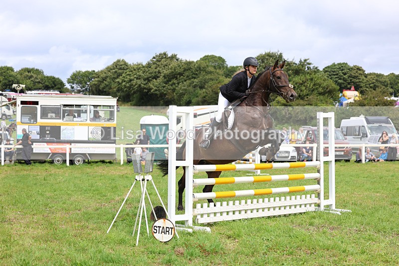 3E7A6936 - Class 5: Senior British Novice/90cm open