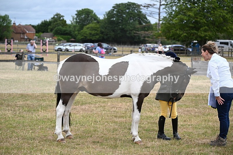 WJ6_4302 - Class 10 Coloured In-hand