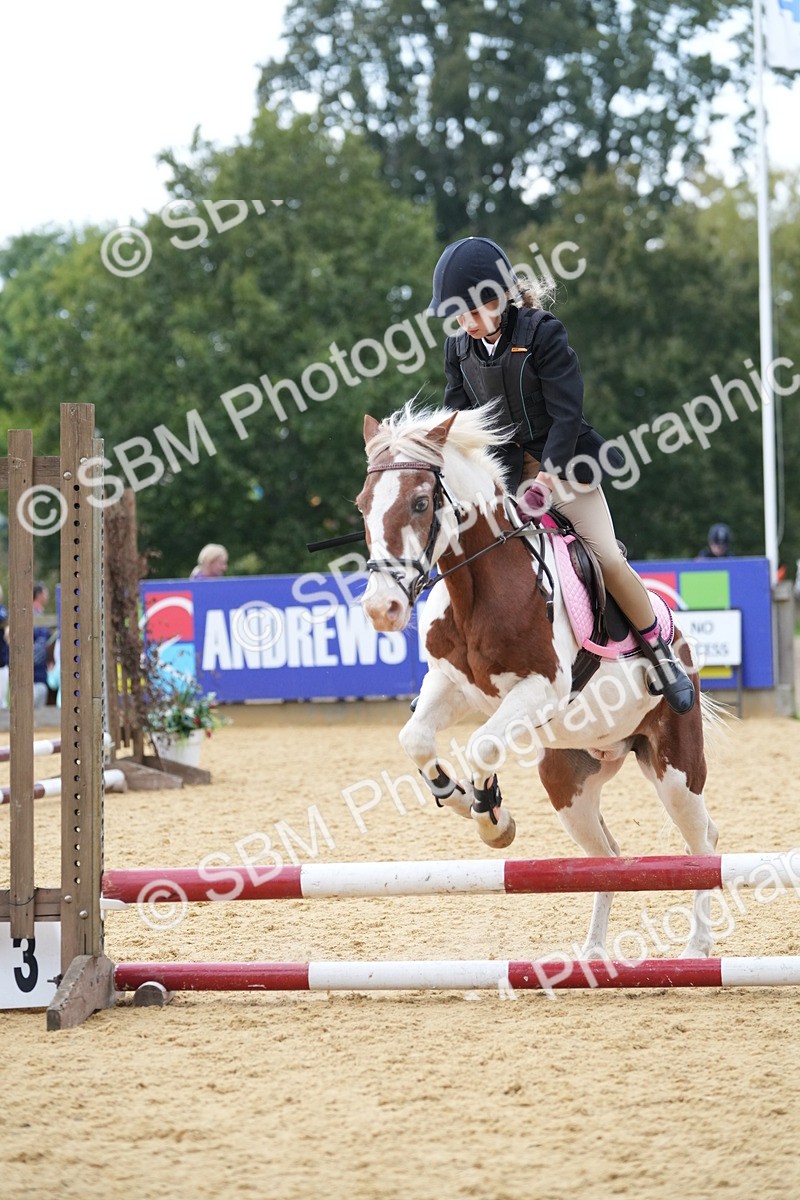 SBM_74667 - J4 - Mini Tour Junior Pony 45cm Championship