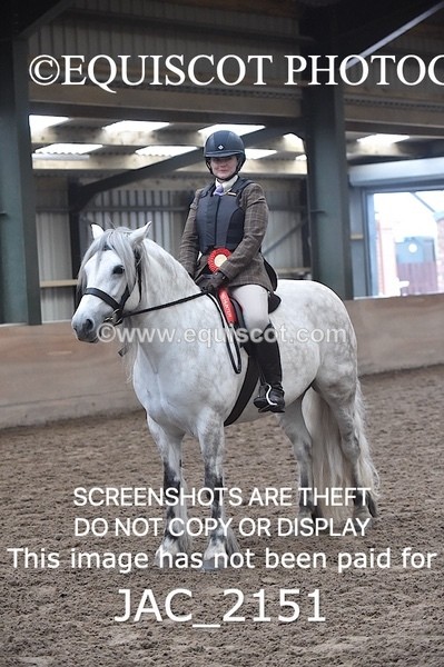 JAC_2151 - CLASS 1 Nursery Novice Working Hunter