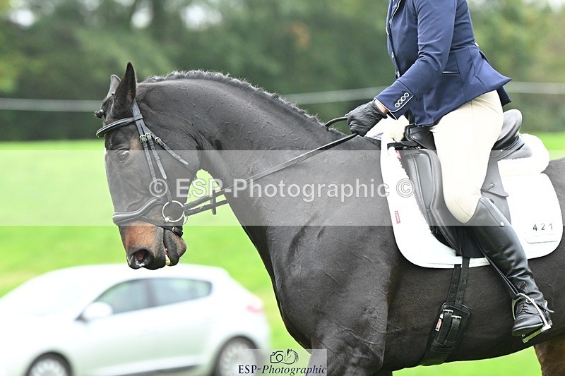 241024-145422-04642 - 421-Marie.Webber-BENNY'S.DOUBLE.DIAMOND