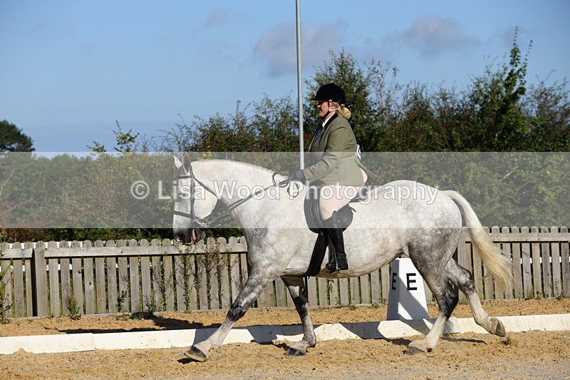 1X9A7593 - Class 7: Novice Ridden Hunter/Hack/Cob/Riding Horse