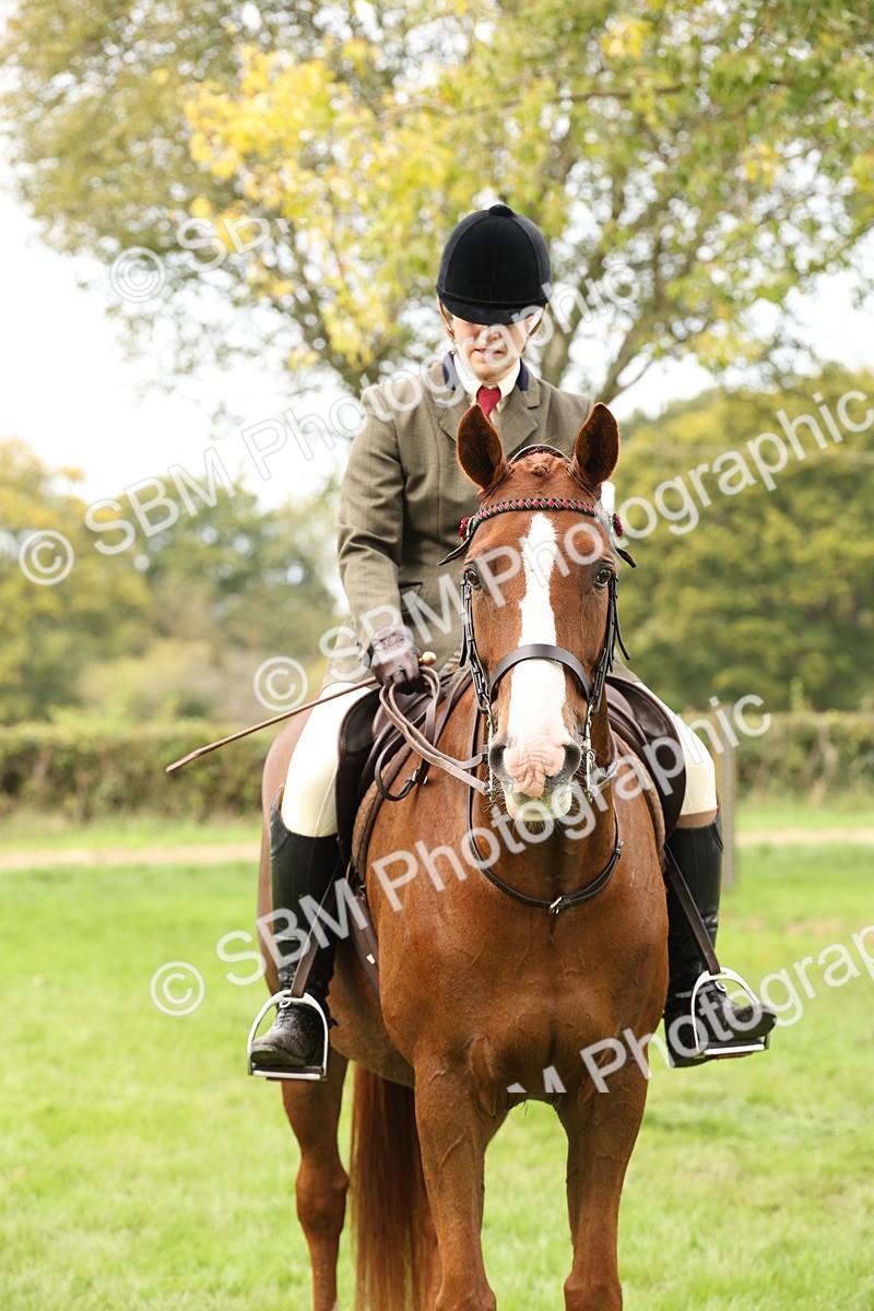 SBM_64287 - S65 - Riding Horse & Hack & Thoroughbred Ridden