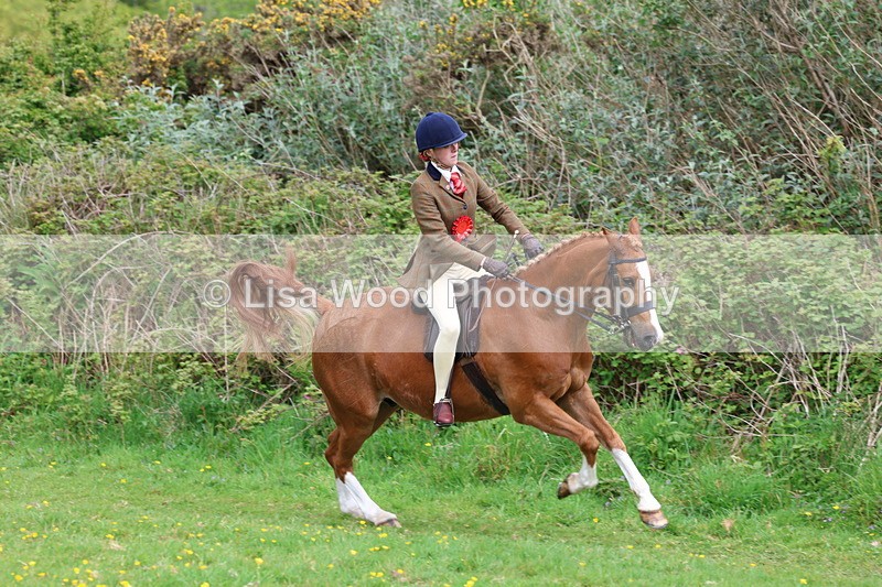 3E7A2256 - Ridden Championship