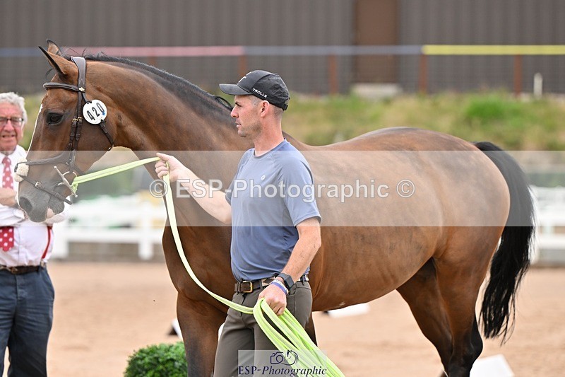 250716-160307-02366 - Trot Up 3.30 to 4.30