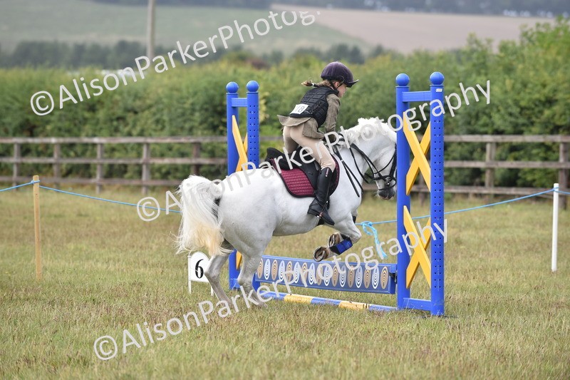 20250831-1874 - Class 9 - Absolute Novice 45cm