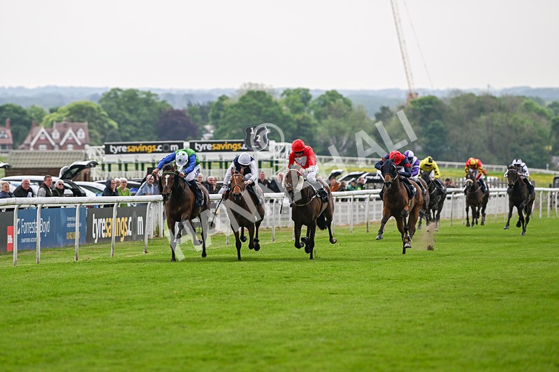 140524-Race 7-Spartan Warrior-3141 - Race 7